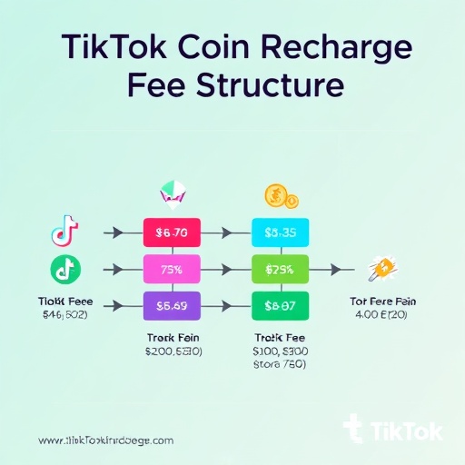 틱톡코인충전 결제 수수료 구조 설명